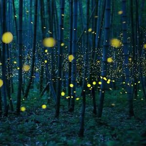 巴巴塔被焯出白水怎么办
