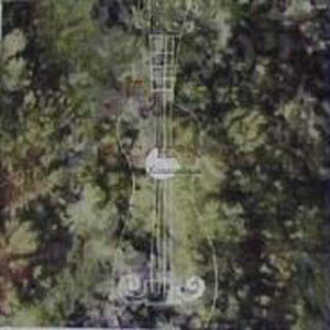 巴巴塔被焯出白水怎么办
